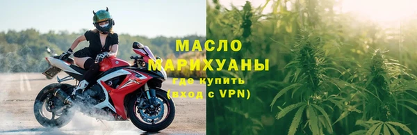 соль ск Ельня