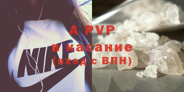 соль ск Ельня
