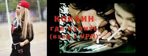 гидра Дмитров