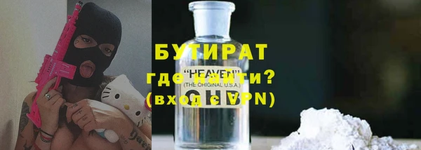 соль ск Ельня