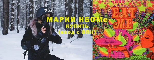 гидра Дмитров