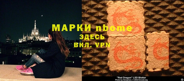 соль ск Ельня