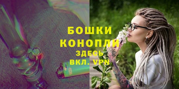 соль ск Ельня