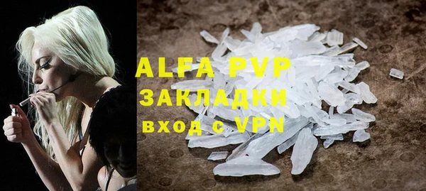 гидра Дмитров