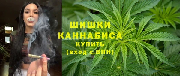 прущая мука Дмитриев
