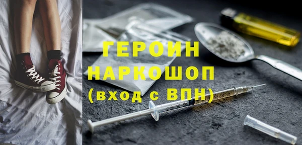 соль ск Ельня