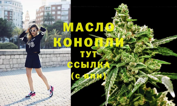 гидра Дмитров