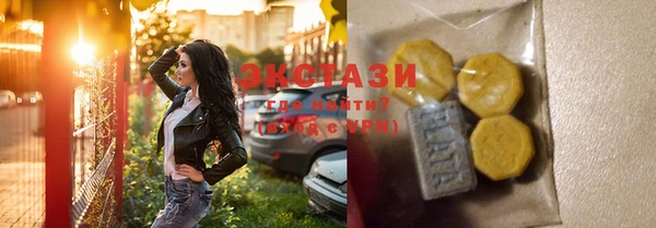 соль ск Ельня