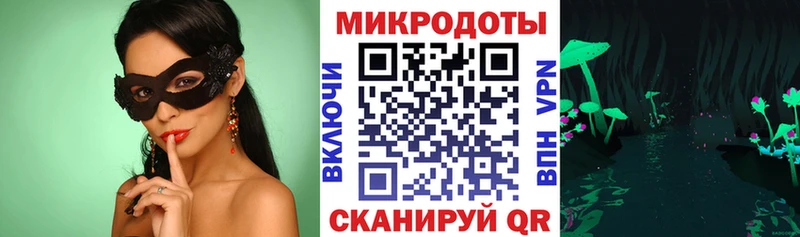 хочу наркоту  Сланцы  Галлюциногенные грибы мицелий 