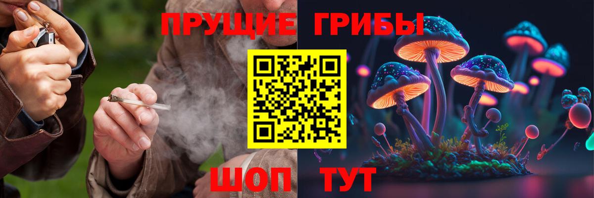 закладка  Вход с VPN  Сланцы  Галлюциногенные грибы Magic Shrooms 